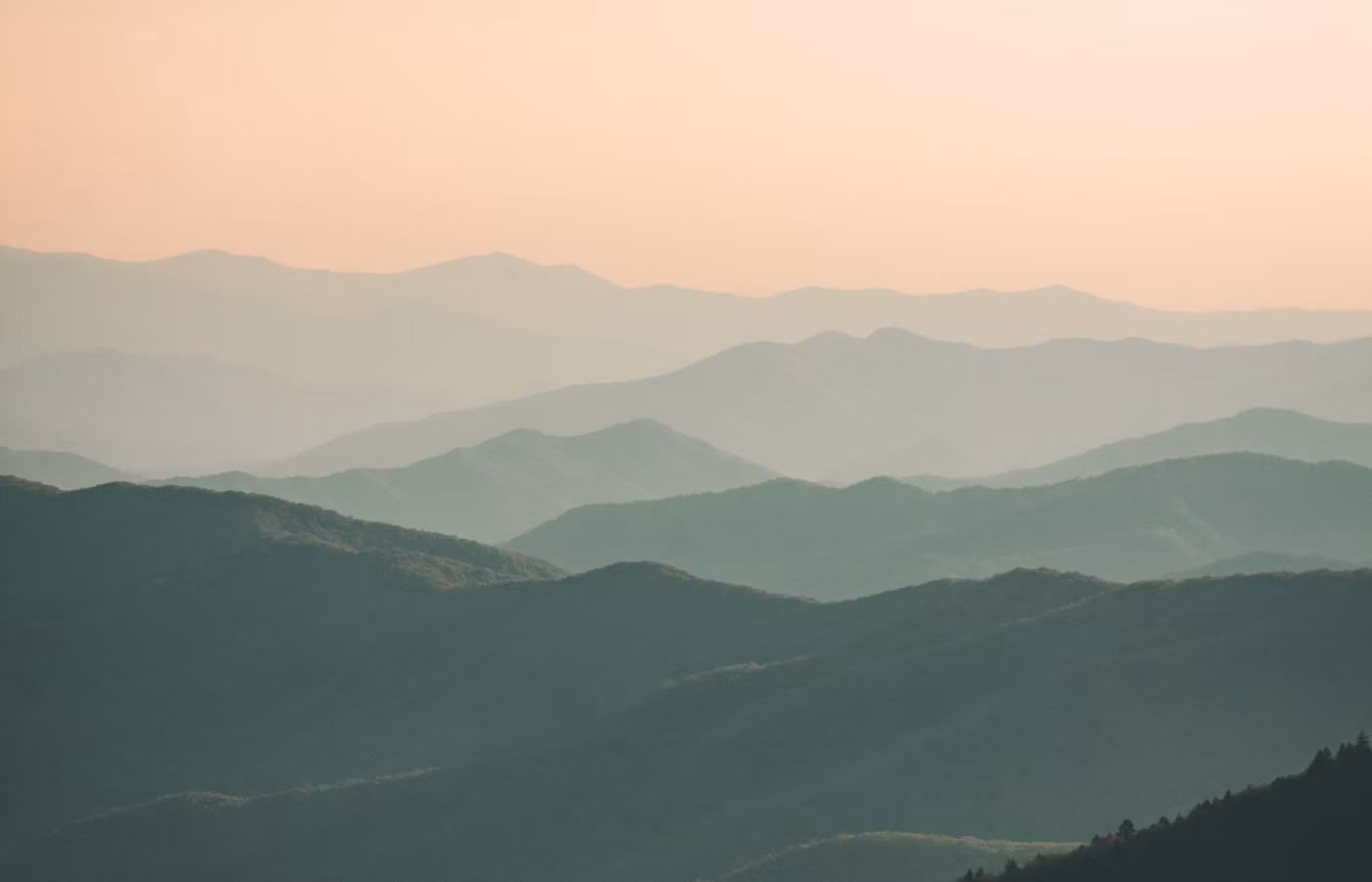 Карта решений для основателя